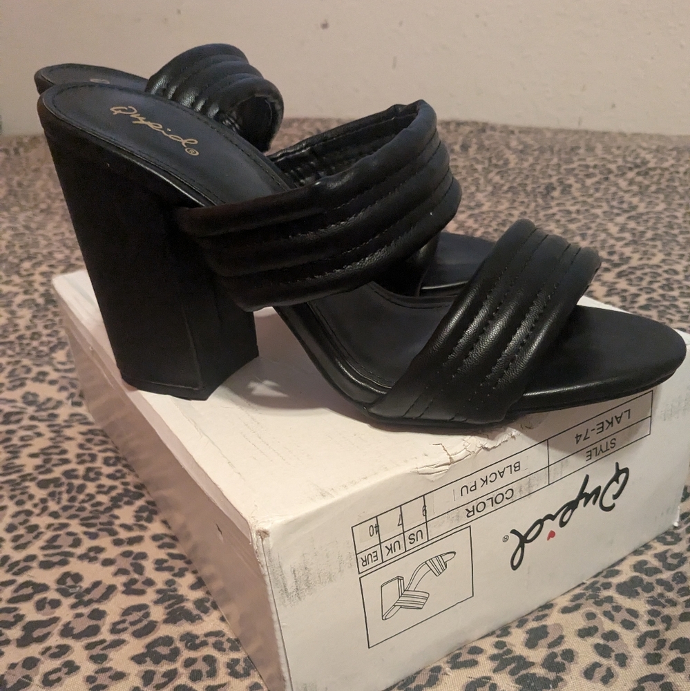 Black Block Heel Sandals, size 9 (purchased from Closet Candy) Never worn